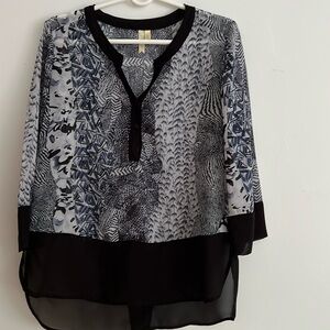 Chenault Woman’s  Blue Top.